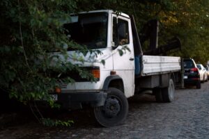 Caminhão branco antigo estacionado sob árvores em rua de paralelepípedo